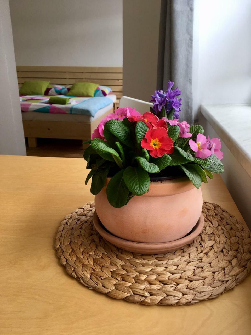 Apartmany A Ubytovani Mlynice ליטובל מראה חיצוני תמונה