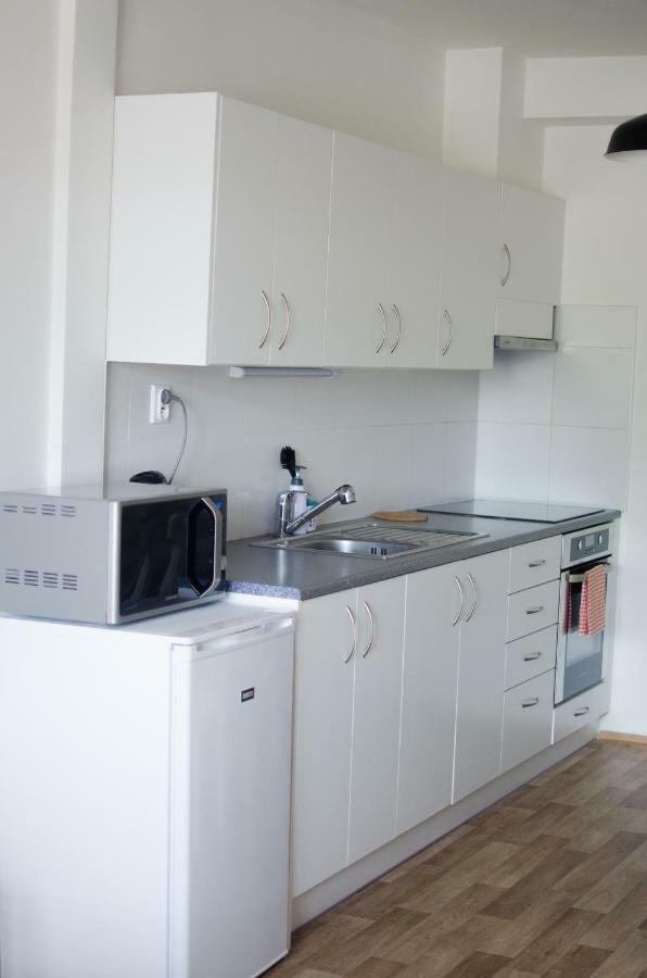 Apartmany A Ubytovani Mlynice ליטובל מראה חיצוני תמונה